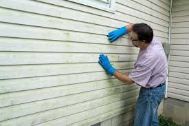 Best Custom Trim and Detailing for Siding  in Early, TX